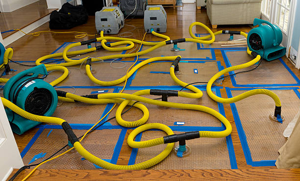 Professional Water Damage Restoration technician working in Middletown, VA
